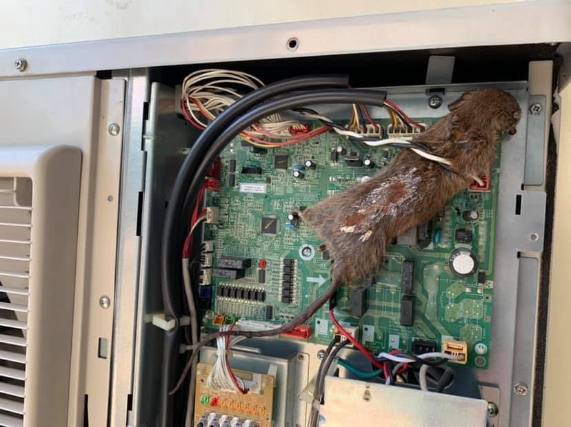 高雄空調變頻基板蟲害更換